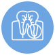 Root Canal